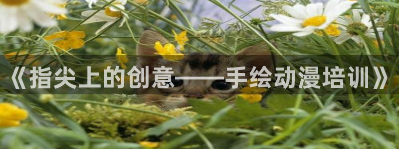 黑丝动漫里番