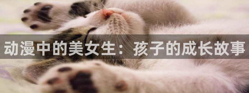 3d里番动漫