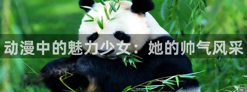 里番动漫网页