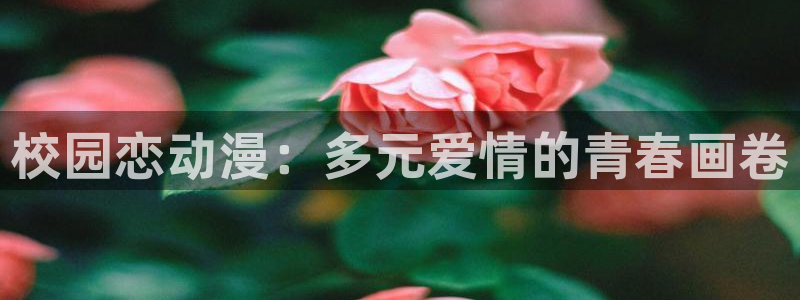 黑兽里番动漫