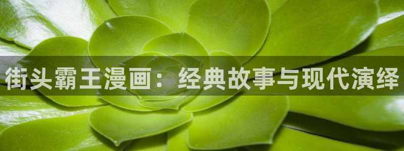 好看的里番推荐