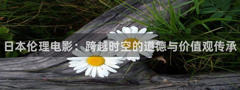 动漫acg里番