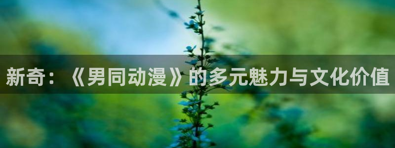 免费里番动漫网