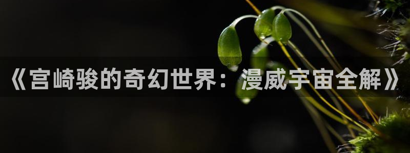 新番里番：《宫崎骏的奇幻世界：漫威宇宙全解》
