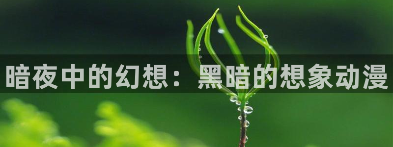 工口里番漫画在线观看：暗夜中的幻想：黑暗的想象动漫
