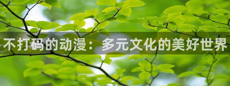 同人里番动漫：不打码的动漫：多元文化的美好世界