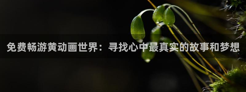 里番动漫播放：免费畅游黄动画世界：寻找心中最真实的故事和梦想