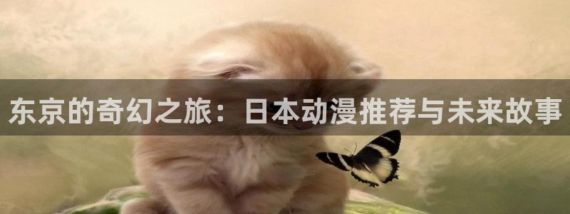 里番动漫在线视频