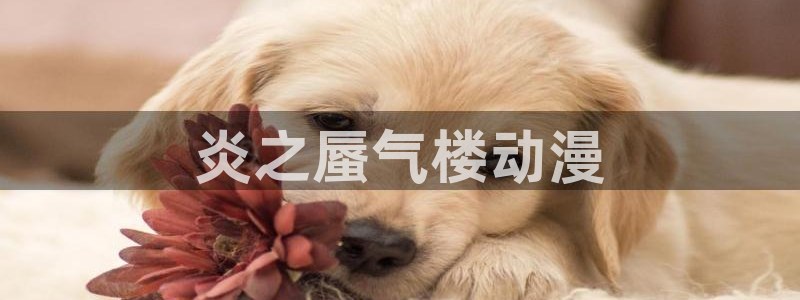 里番动漫排行榜