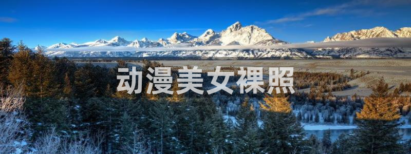里番动漫app免费