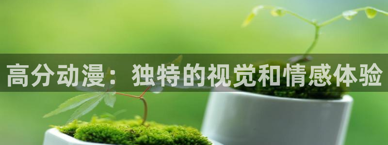 里番动画
