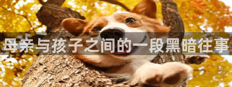 里番动漫3：母亲与孩子之间的一段黑暗往事