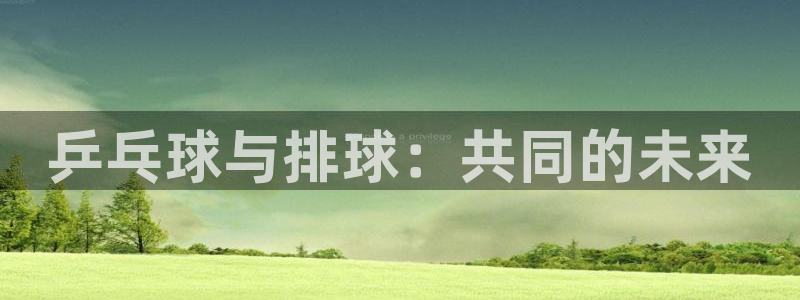 里番日本动漫在线观看：乒乓球与排球：共同的未来