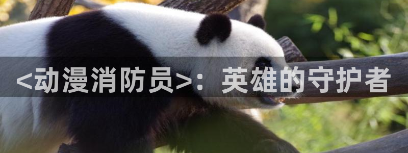 里番有哪些动漫：<动漫消防员>：英雄的守护者
