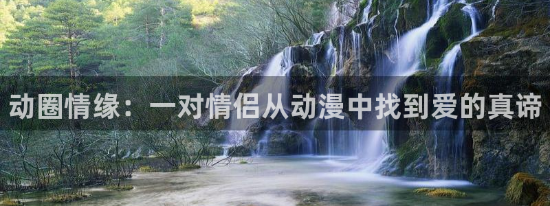 日本漫画里番：动圈情缘：一对情侣从动漫中找到爱的真谛