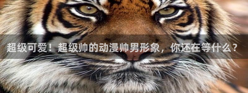 口工里番少女漫画：超级可爱！超级帅的动漫帅男形象，你还在等什么？