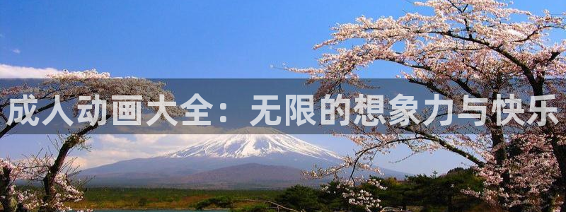 里番外动漫：成人动画大全：无限的想象力与快乐