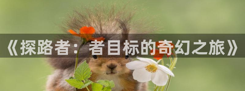 里番动画片在线观看：《探路者：者目标的奇幻之旅》