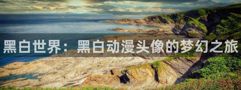 日本里番动画片：黑白世界：黑白动漫头像的梦幻之旅