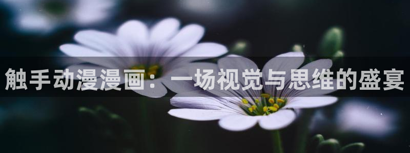 里番动漫片