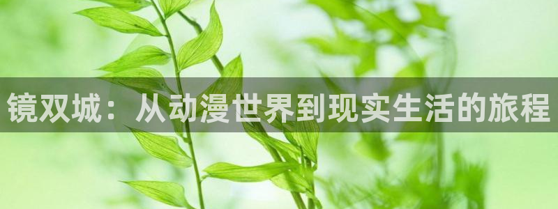 里番动漫风车