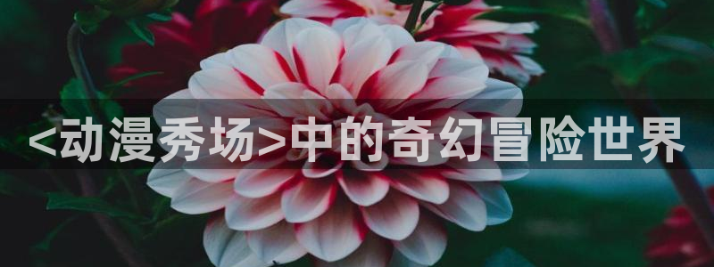 美女里番动漫