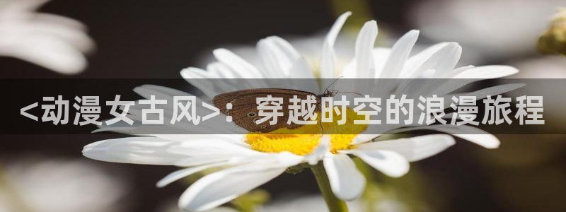 日漫里番网站