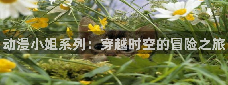 里番动漫总站