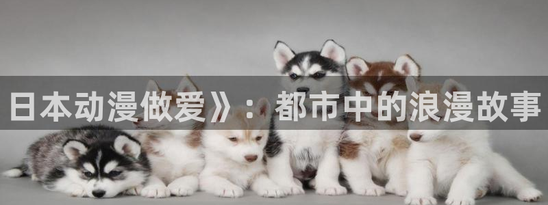 里番动漫在线免费观看