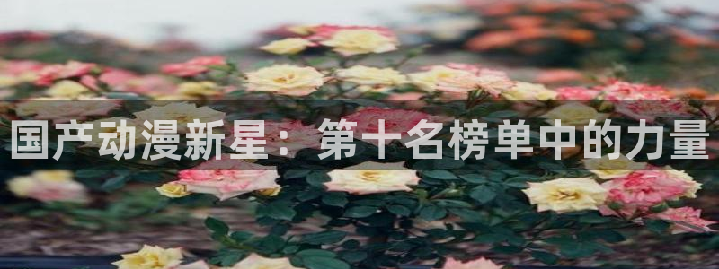 里番动漫排行榜
