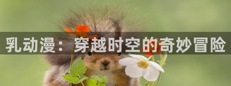 里番动漫免费