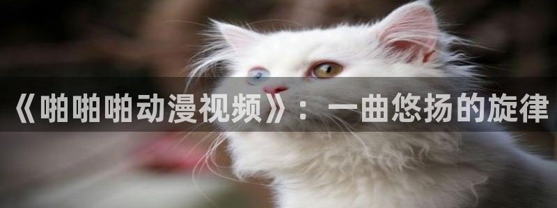 里番动漫视频