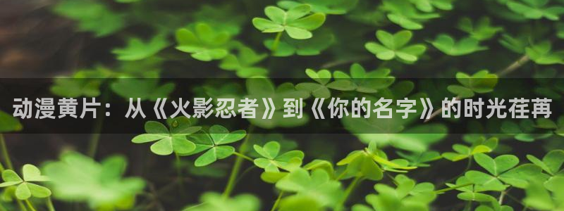 推荐里番剧