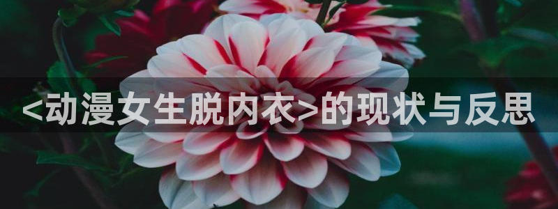有什么动漫里番动漫