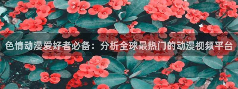 里番动漫网站免费