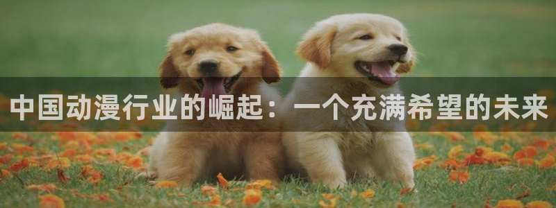 里番动漫是什么?