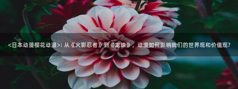 动漫里番番号