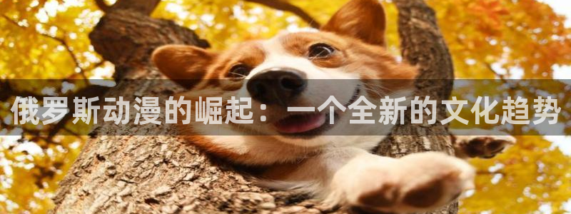 里番动漫线观看：俄罗斯动漫的崛起：一个全新的文化趋势